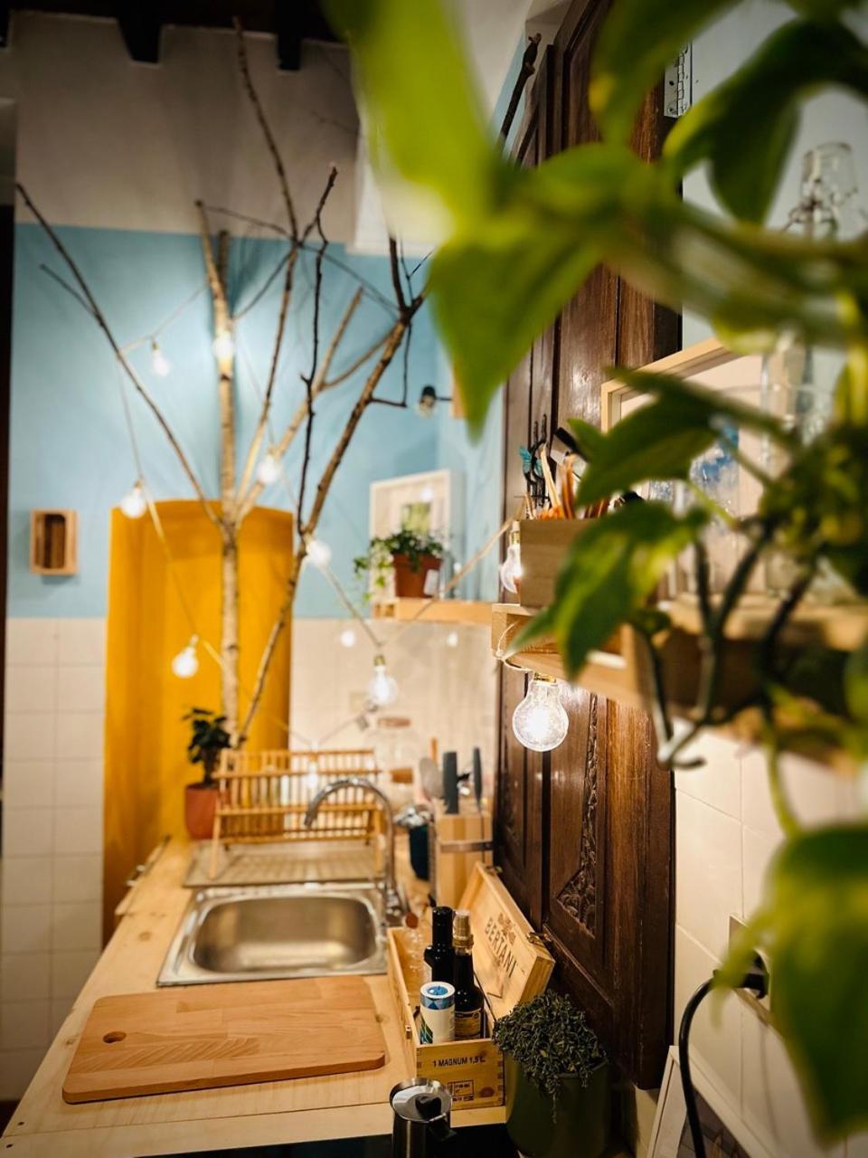Wow House In Torino Apartment Exterior photo